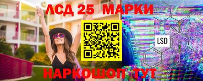 дмт Новокубанск