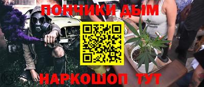 дмт Новокубанск