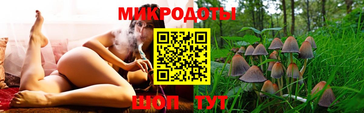 Обь  Псилоцибиновые грибы Psilocybine cubensis  Псилоцибиновые грибы ЛСД  Вход с VPN 