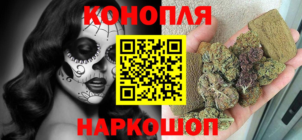 Бошки Шишки семена Обь